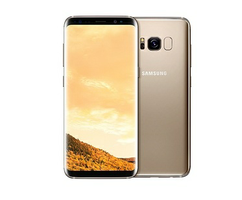 Смартфон Samsung Galaxy S8 SM-G950FD Gold